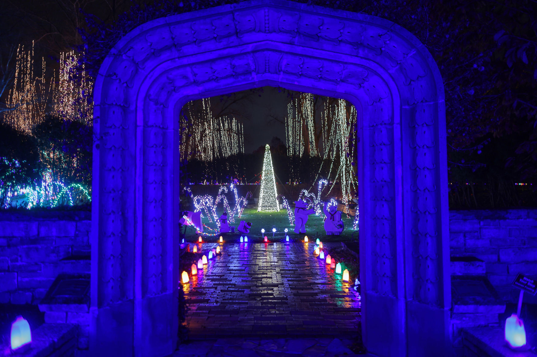 JVG_211121_LIGHTS27